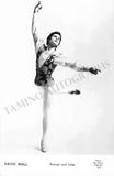 Ballet & Dance - Set of 160 Unsigned Photo Postcards