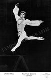 Ballet & Dance - Set of 160 Unsigned Photo Postcards