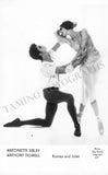 Ballet & Dance - Set of 160 Unsigned Photo Postcards