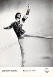Ballet & Dance - Set of 160 Unsigned Photo Postcards