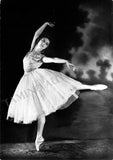 Ballet & Dance - Set of 160 Unsigned Photo Postcards