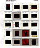 Opera - Large Collection of Slides Met Opera 1950s - 1960s