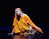 Der Ring des Nibelungen - Lyric Opera of Chicago 2004 - Lot of 31 Signed Photos