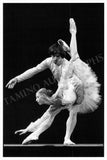 Nureyev, Rudolf - Set of 10 Unsigned Photo Postcards