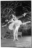 Nureyev, Rudolf - Set of 10 Unsigned Photo Postcards
