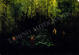 Bayreuth Festival 1973-75 - Photo Lot