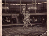 Les Hassan - Circus Acrobats and Dancers - Studio and Family Portrait Lot 1880s