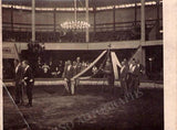 Les Hassan - Circus Acrobats and Dancers - Studio and Family Portrait Lot 1880s