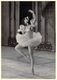 Ballet Dancers - Lot of 25 Unsigned Photos