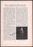 Bayreuth Festival 1956 - Festspielnachrichten des Bayreuther Tagblatt