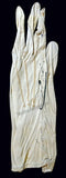 Calve, Emma - Signed Glove 1896!