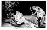 Cebotari, Maria - Lot of 166 Unsigned Photos