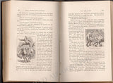 Clemens, Samuel (Mark Twain) - First Edition Book "Roughing It" 1872
