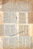 Donadio, Bianca - Lot of Playbills and Program Clips 1883-1884