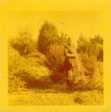 LEHMANN, Lotte - Lot of 19 Unsigned Photos