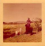 LEHMANN, Lotte - Lot of 19 Unsigned Photos