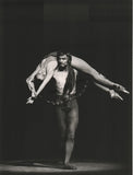 Maximova, Ekaterina - Vassiliev, Vladimir and Others - Set of 37 Large Ballet Photos