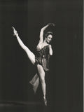 Maximova, Ekaterina - Vassiliev, Vladimir and Others - Set of 37 Large Ballet Photos