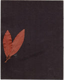 Mitropoulos, Dimitri - Signed Photo