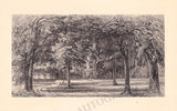 New York Houses and Landscapes - Collection of 61 Plates by Eliza Greatorex 1870s
