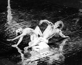 Nureyev, Rudolph - Set of 3 Unsigned Photos