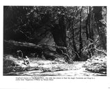 Opera - Lot of 50 Unsigned Photos