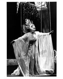 Opera - Lot of 52 Unsigned Photos