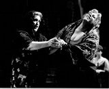 Opera - Lot of 62 Unsigned Photos