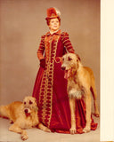 Opera - Lot of 62 Unsigned Photos