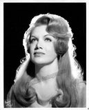 Opera - Lot of 69 Unsigned Photos