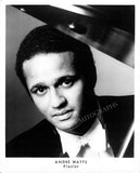 Pianists - Lot of 47 Unsigned Photos