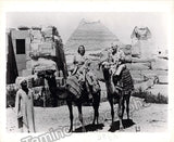 Pons, Lily - Large Photo & Memorabilia Archive Selection