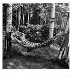 Sayao, Bidu - Lot of 79 Unsigned Photos