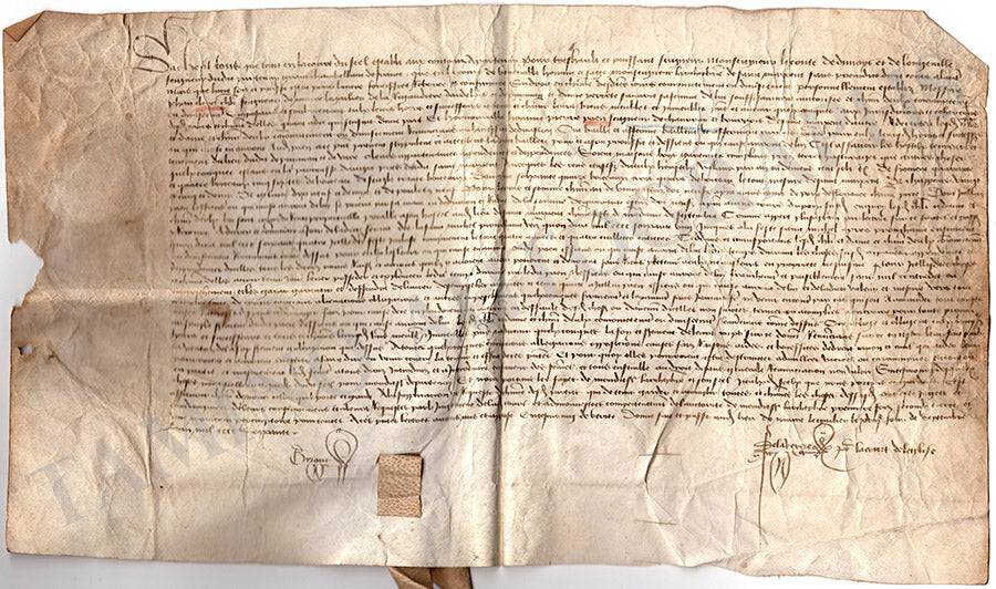 Original French Medieval Document Boundaries of Chauray 1470 – Tamino