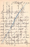 Borghi, Adele - Autograph Letter Signed 1894