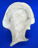 Pavlova, Anna - Funerary Mask Replica