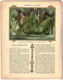 Ballets Russes - Program 8th Season Paris