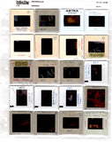 Opera - Large Collection of Slides Met Opera 1950s - 1960s