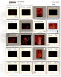 Opera - Large Collection of Slides Met Opera 1950s - 1960s