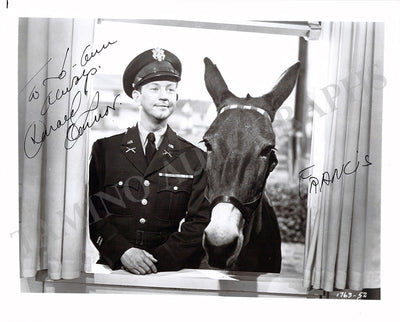 In "Francis in the Navy"