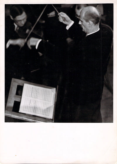 Photograph (1)