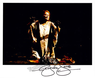 Brunnhilde at the Met