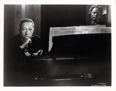 Photograph 7