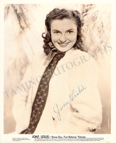 Promo Photograph