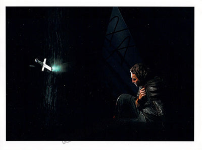 Siegmund (2)