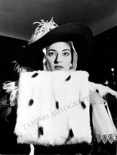 Amelia in Un Ballo in Maschera (X)