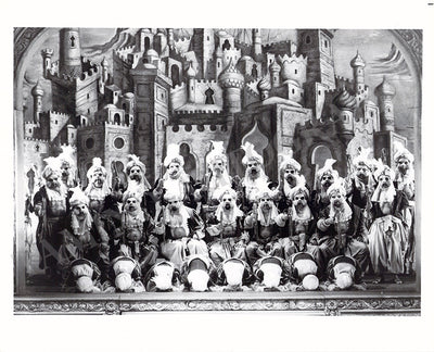 Metropolitan Opera - Lot of 23 Unsigned Opera Photographs