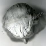 Mozart, Wolfgang Amadeus - Biscuit Bust