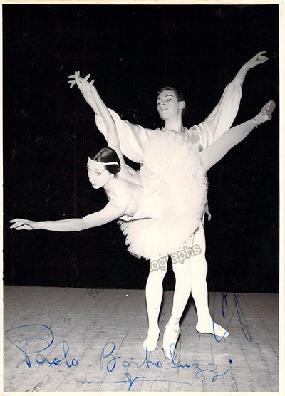 In Performance (III)