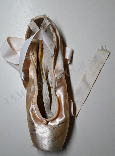 McBride, Patricia - Signed Single Pointe Shoe